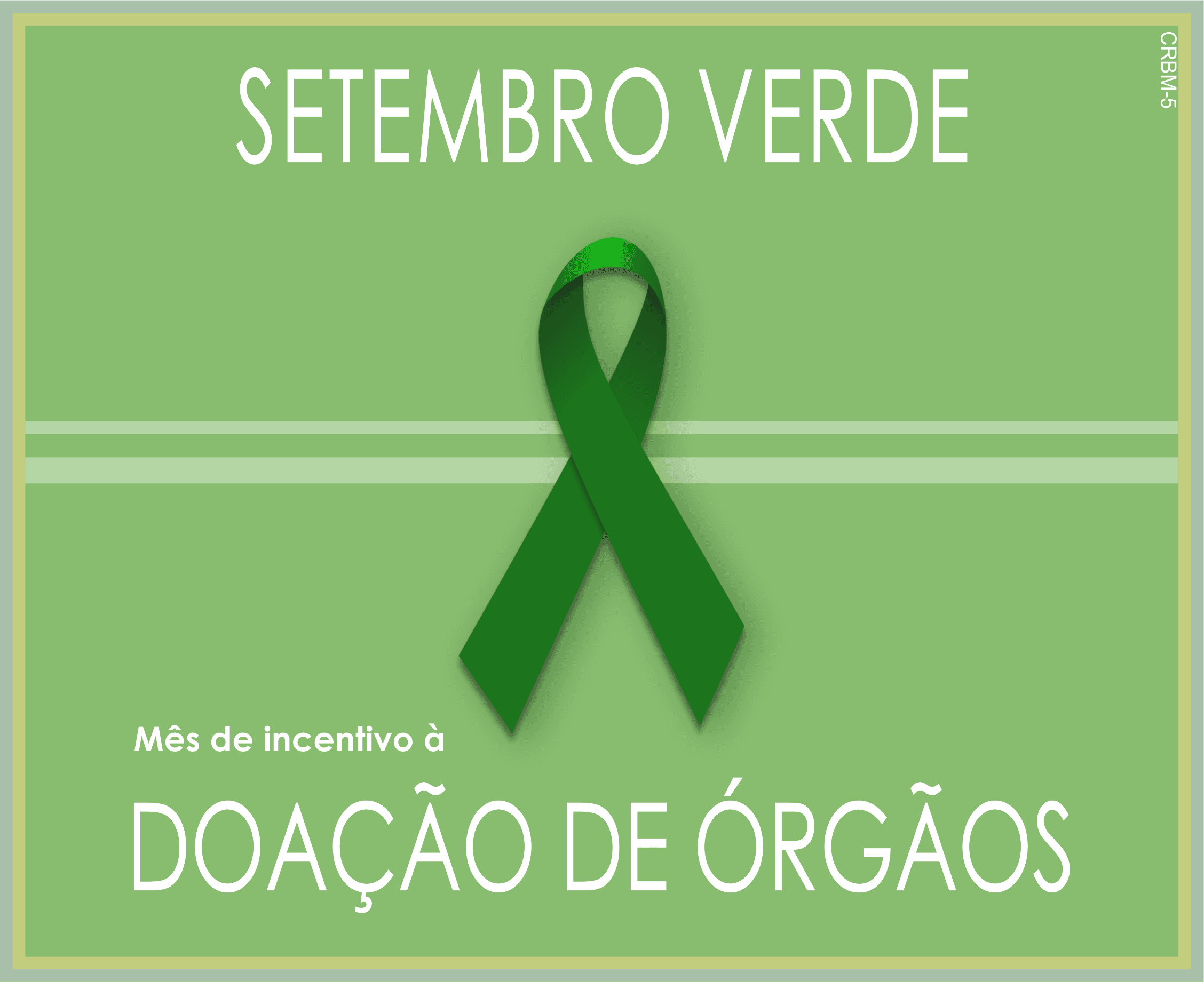 Deu “match”? Biomédicos avaliam compatibilidade de órgãos para transplantes