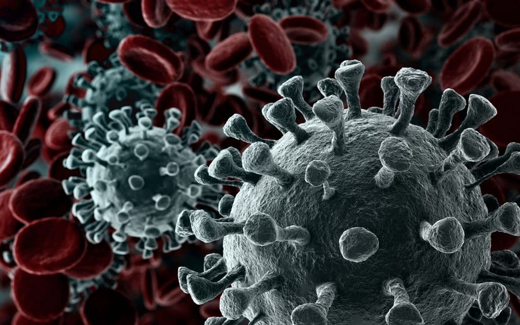 Procedimentos de biossegurança no combate ao coronavirus