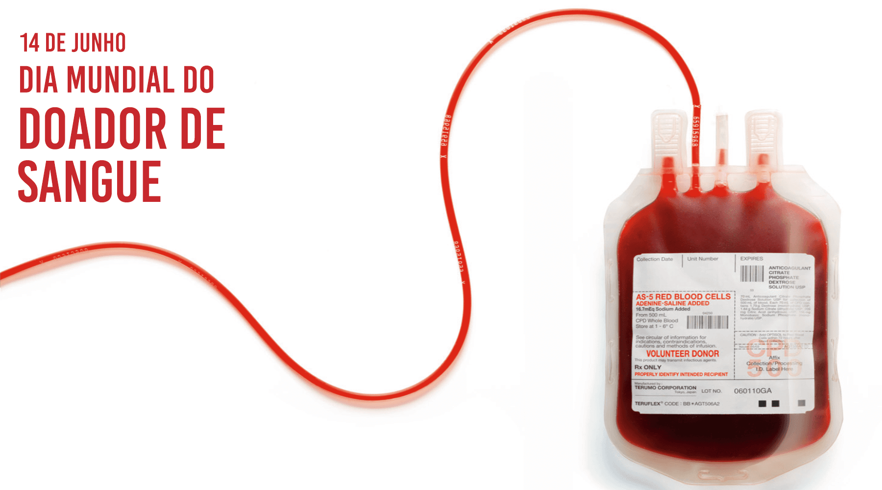 Da doação à transfusão: o caminho do sangue
