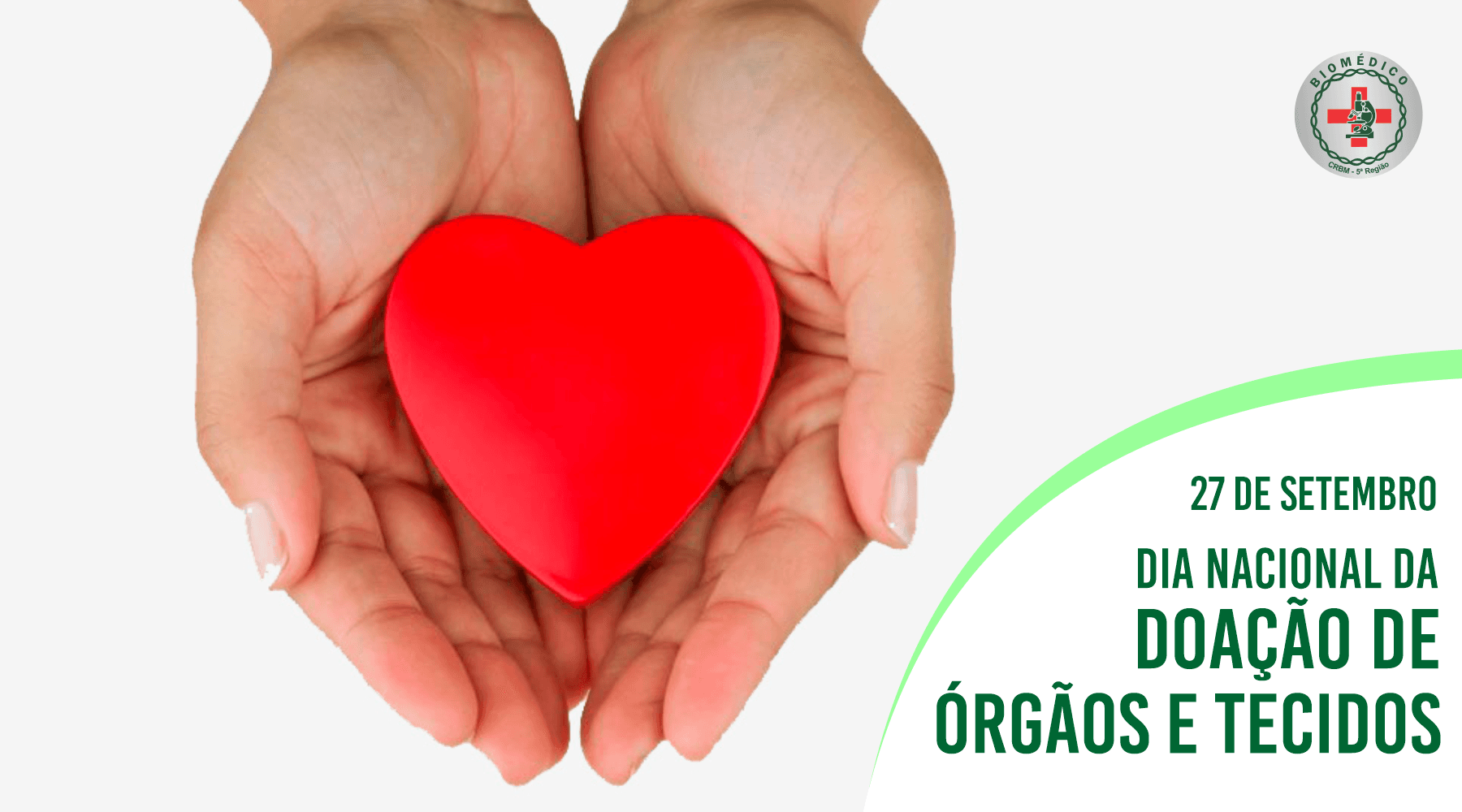Deu “match”? Biomédicos avaliam compatibilidade de órgãos para transplantes