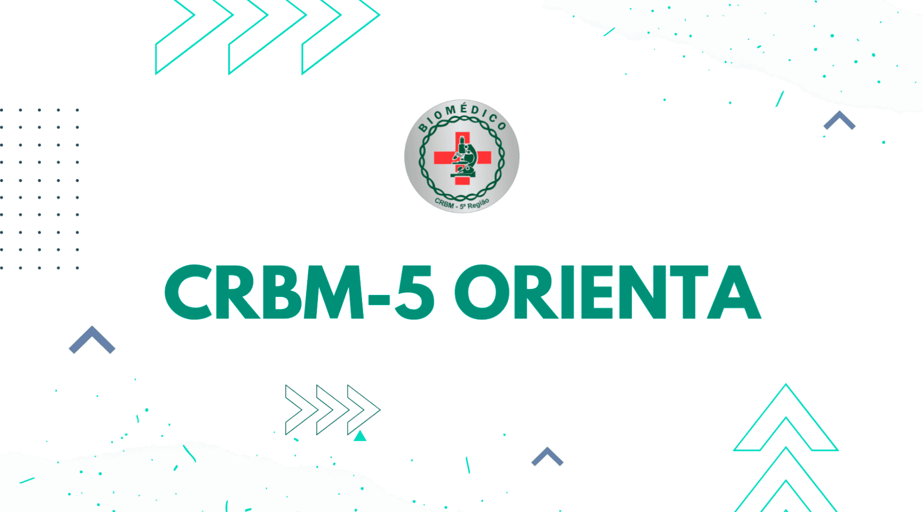 Diferença entre estágio curricular e extracurricular