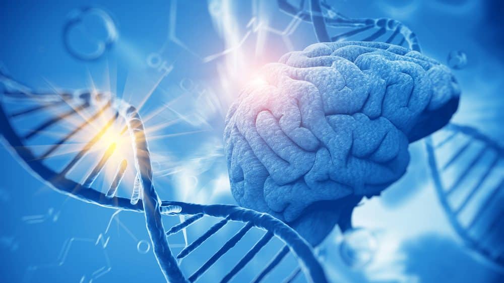 Pesquisa de biomédica faz descoberta sobre gene presente em tumor cerebral infantil