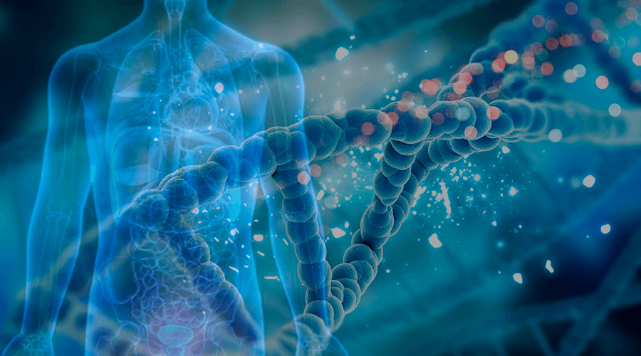 Pesquisa de biomédica identifica presença de genótipo como fator de risco para o câncer de próstata